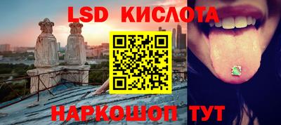 прущие крисы Кингисепп
