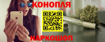 прущие крисы Кингисепп