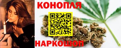 прущие крисы Кингисепп