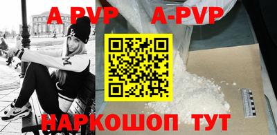 прущие крисы Кингисепп