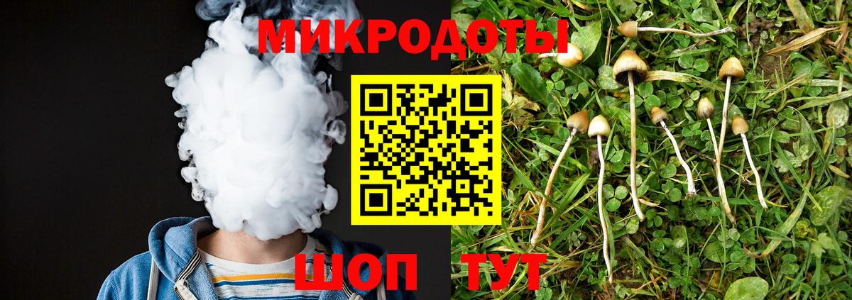 Псилоцибиновые грибы Psilocybine cubensis Краснокаменск