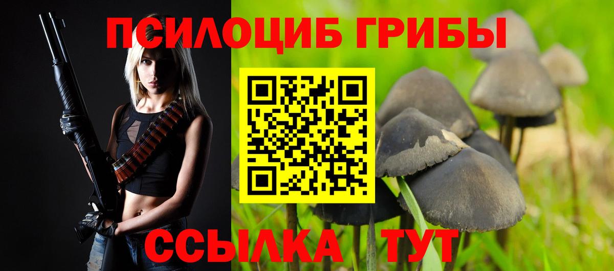 Краснокаменск  Галлюциногенные грибы прущие грибы  Вход с VPN 